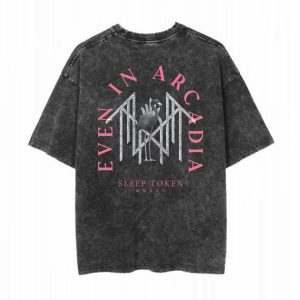 Sleep Token - Even In Arcadia Flamingo Arch Tee Back